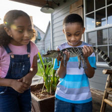 Enfant tenant un bébé alligator d’Amérique dans ses mains à Gator Chateau, Jennings, Louisiane