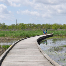 Visiteurs se promenant sur la passerelle du Creole Nature Trail près de Lake Charles, en Louisiane