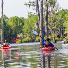 Kayakistes explorant le Lake Bistineau près de Shreveport-Bossier, Louisiane