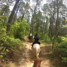 Randonnée à cheval sur un sentier de la Kisatchie National Forest à Alexandria, Louisiane